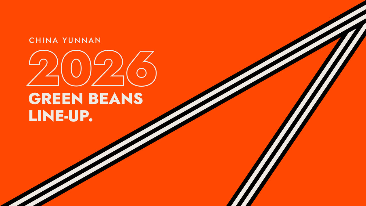 MOUNTAIN MOVER 2026年ロット 雲南コーヒー生豆のラインナップ